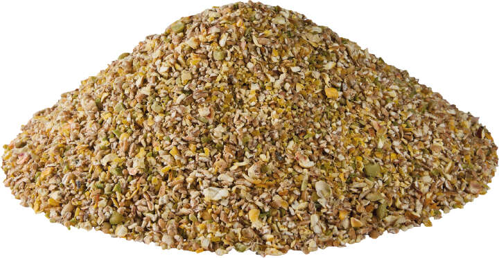 GoldDott Küken-Wachtelschrot
